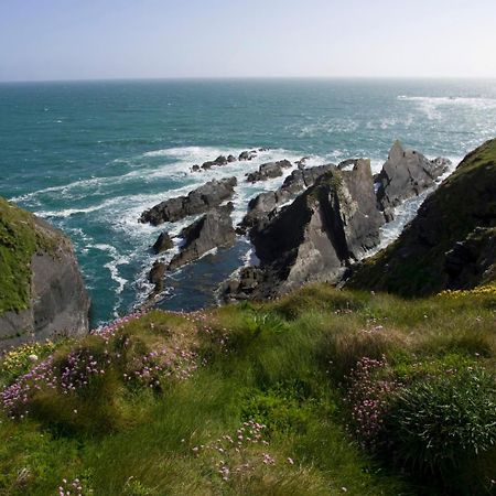 Galley Head Lightkeeper'S Houses Donoure Eksteriør bilde
